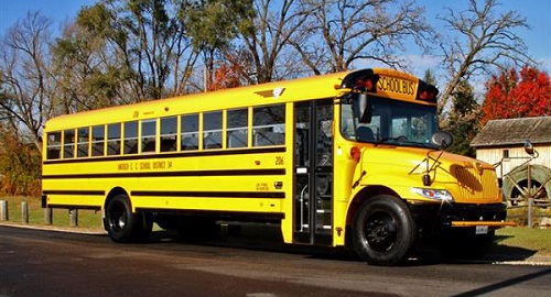 schoolbus-crop-500.jpg Image