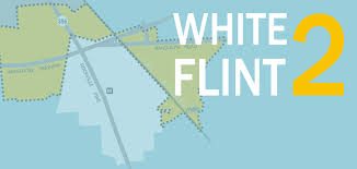 Wt Flint 2 Master Plan Graphic