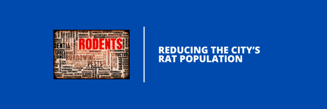 Rat Update %f0%9f%93%8c+Addressing+the+Maternal+Mortality+Crisis%2c+Bolstering ...